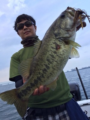 小谷君　50ＵＰ